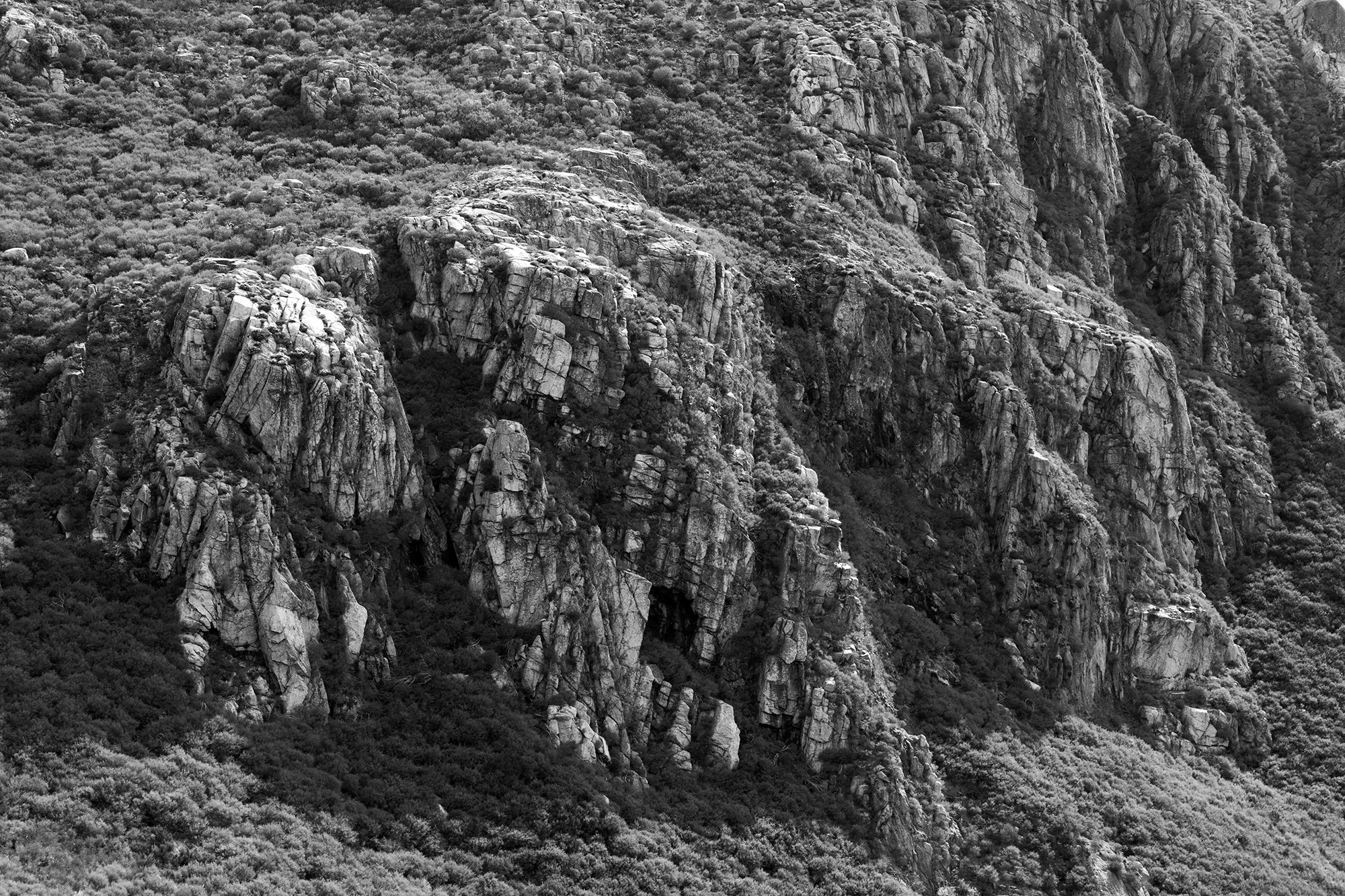 Carina Martins - Walden - Serra da Estrela mountain