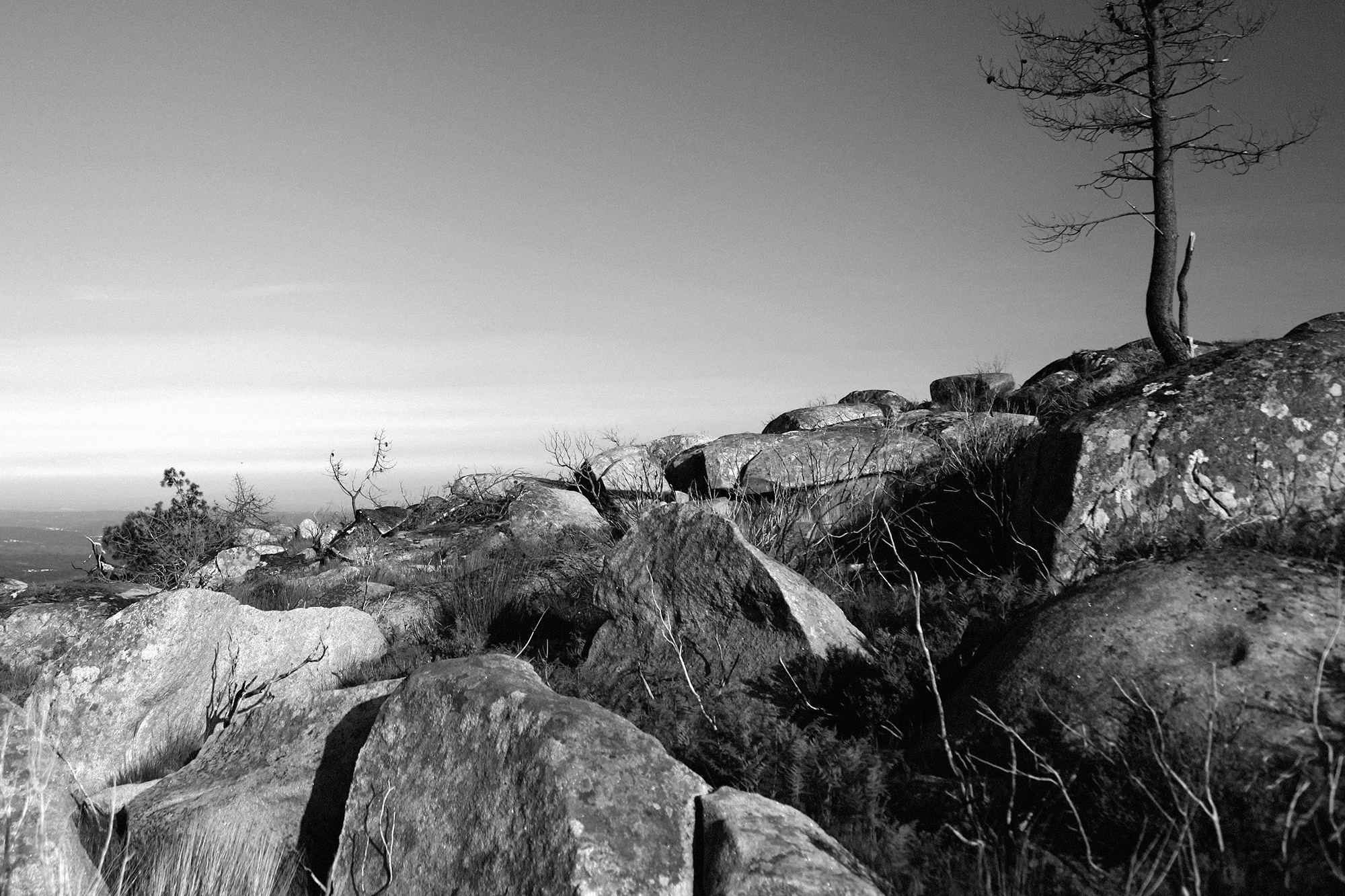 Carina Martins - Anima Lusitani - mountain - coelheira