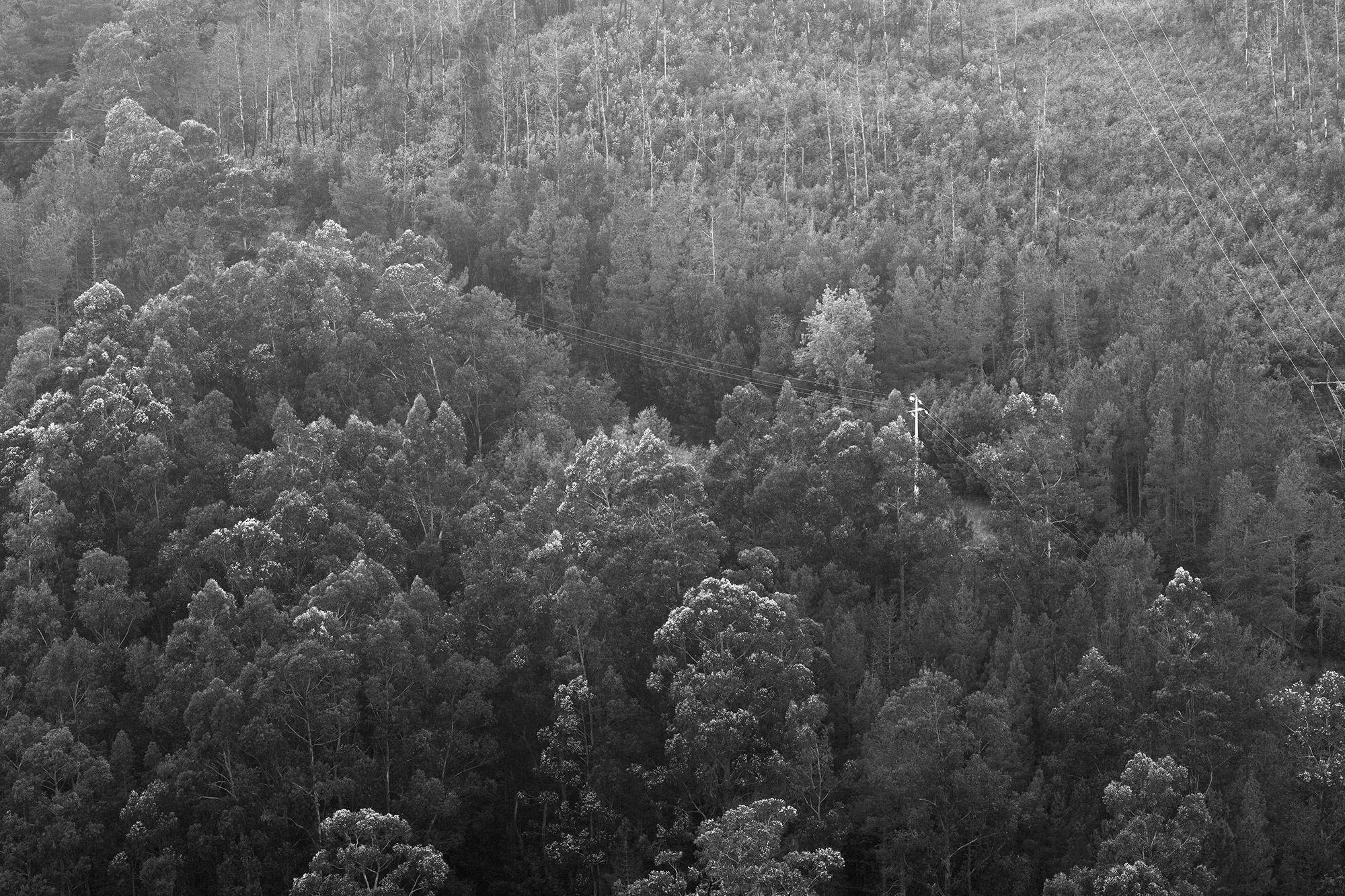 Carina Martins - Walden - Serra da Estrela