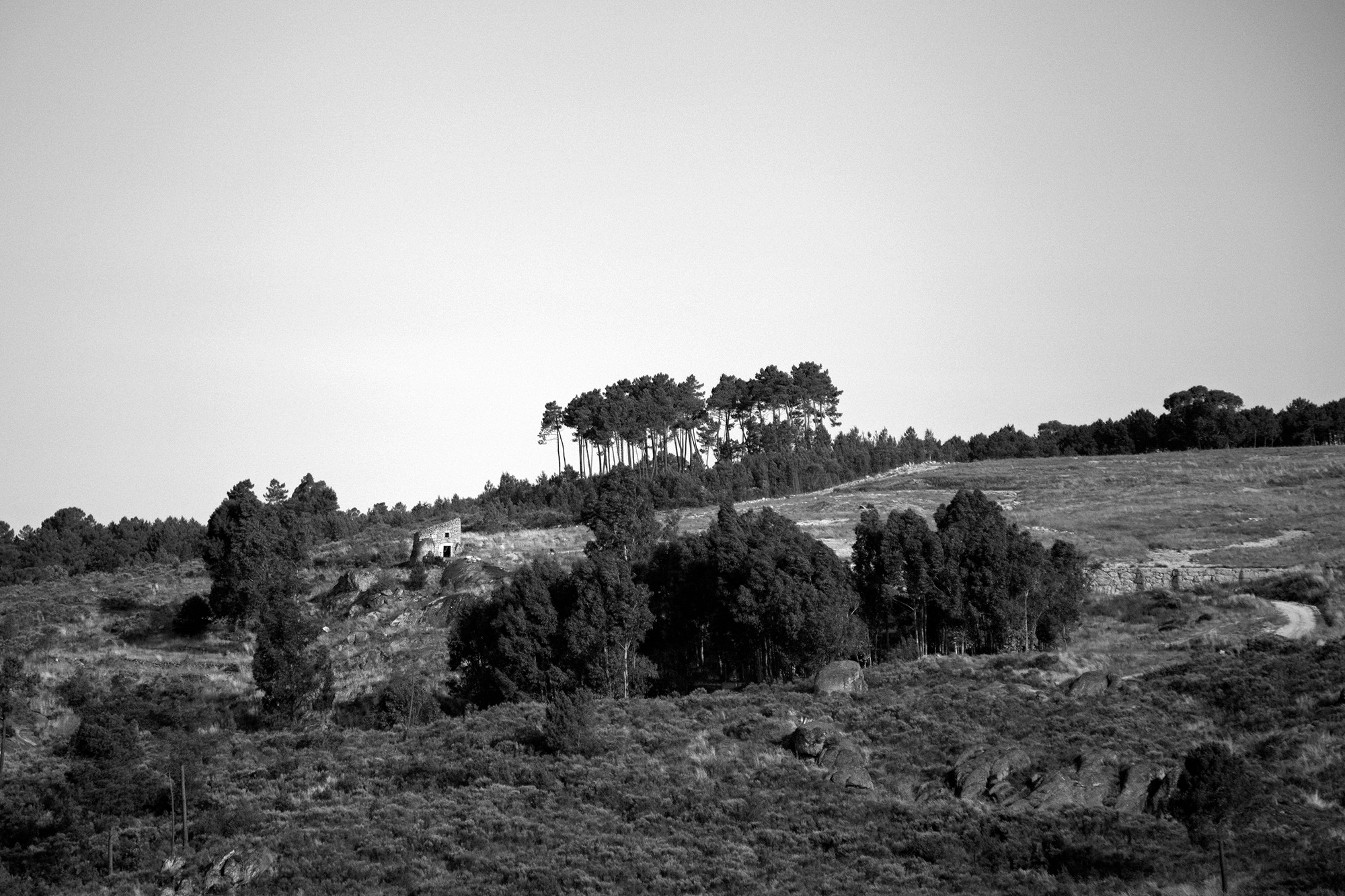 Carina Martins - Anima Lusitani - mountain - boco