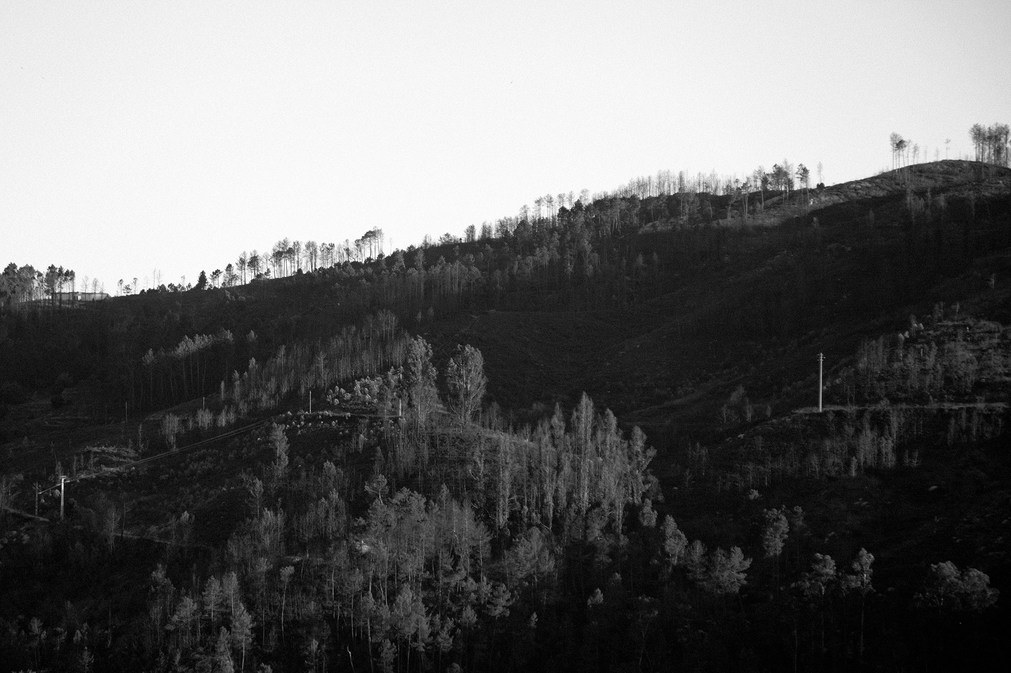 Carina Martins - Anima Lusitani - montanha - castro daire