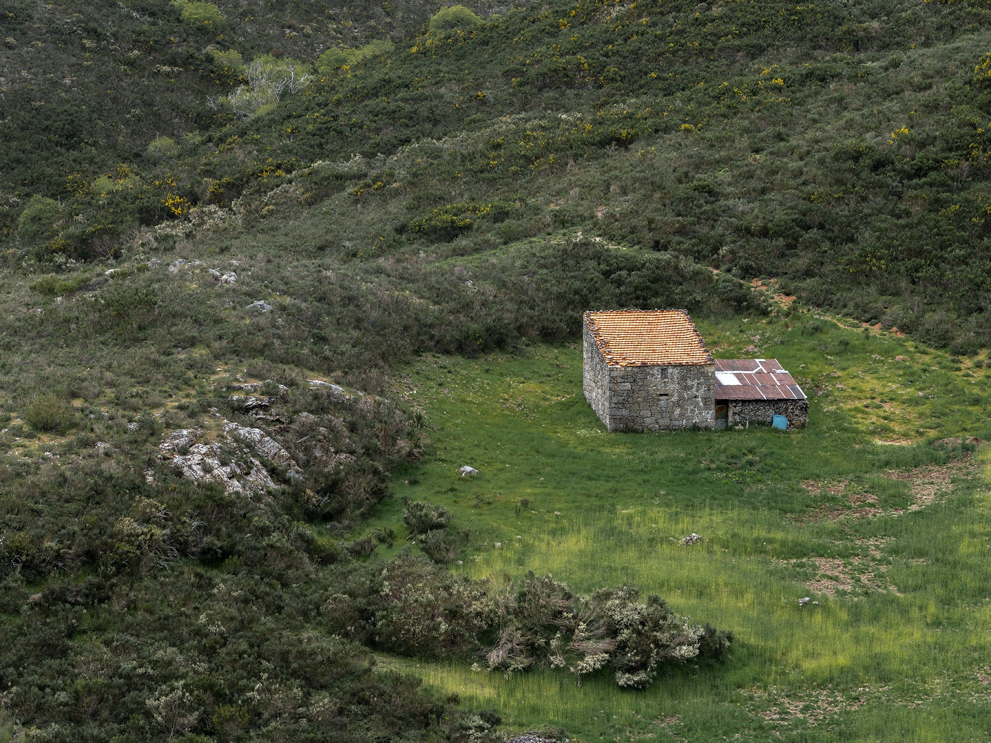 Carina Martins - Walden - Serra da Estrela