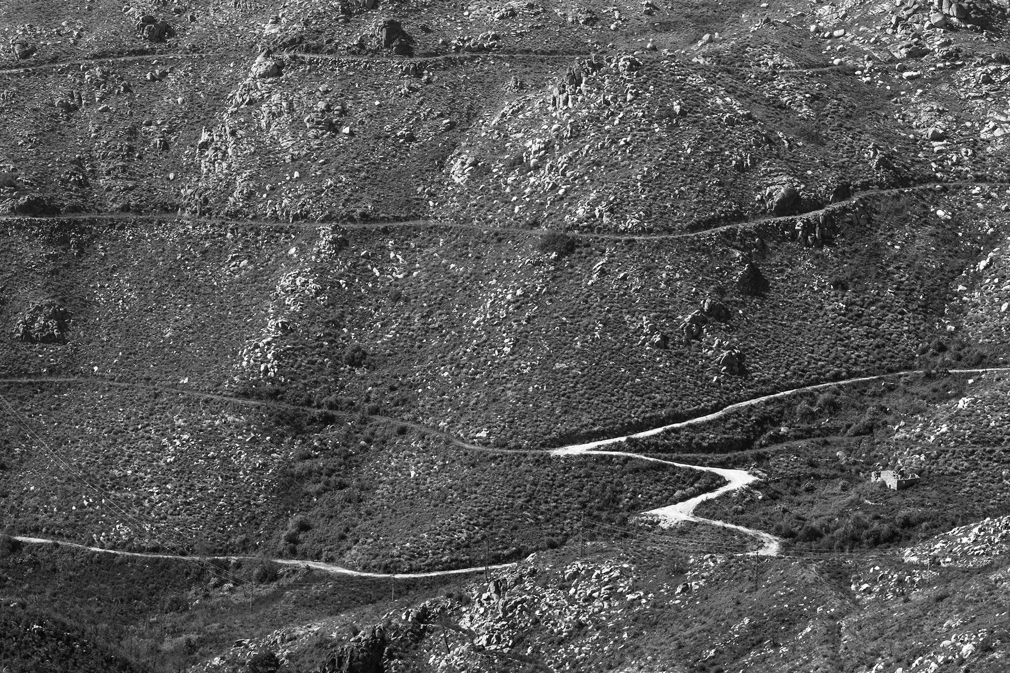 Carina Martins - Walden - Serra da Estrela mountain