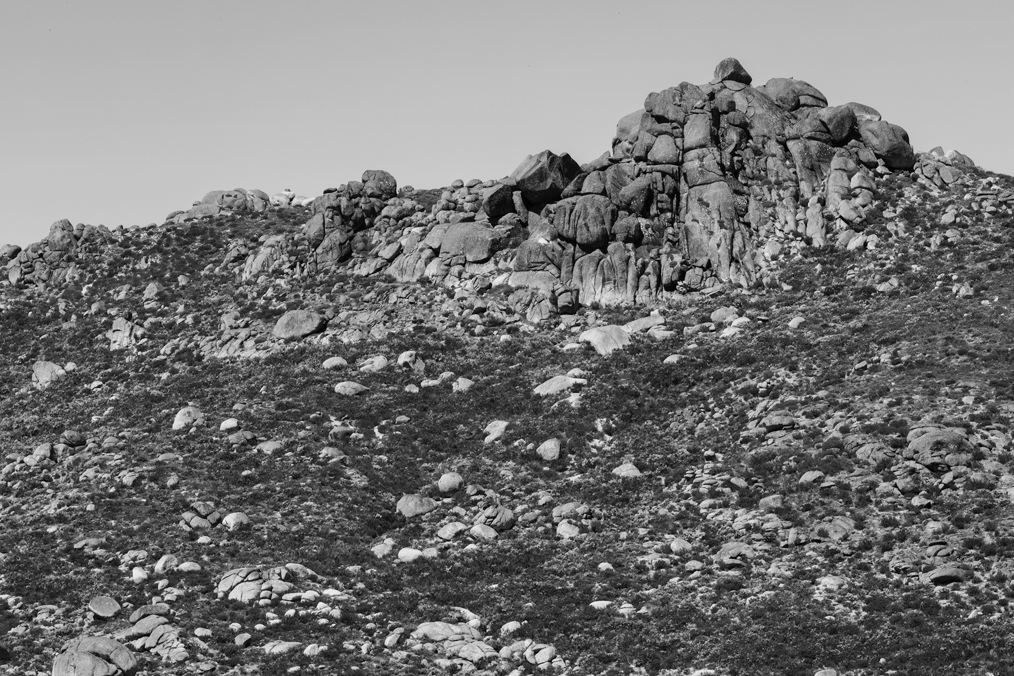Carina Martins - Walden - Serra da Estrela mountain