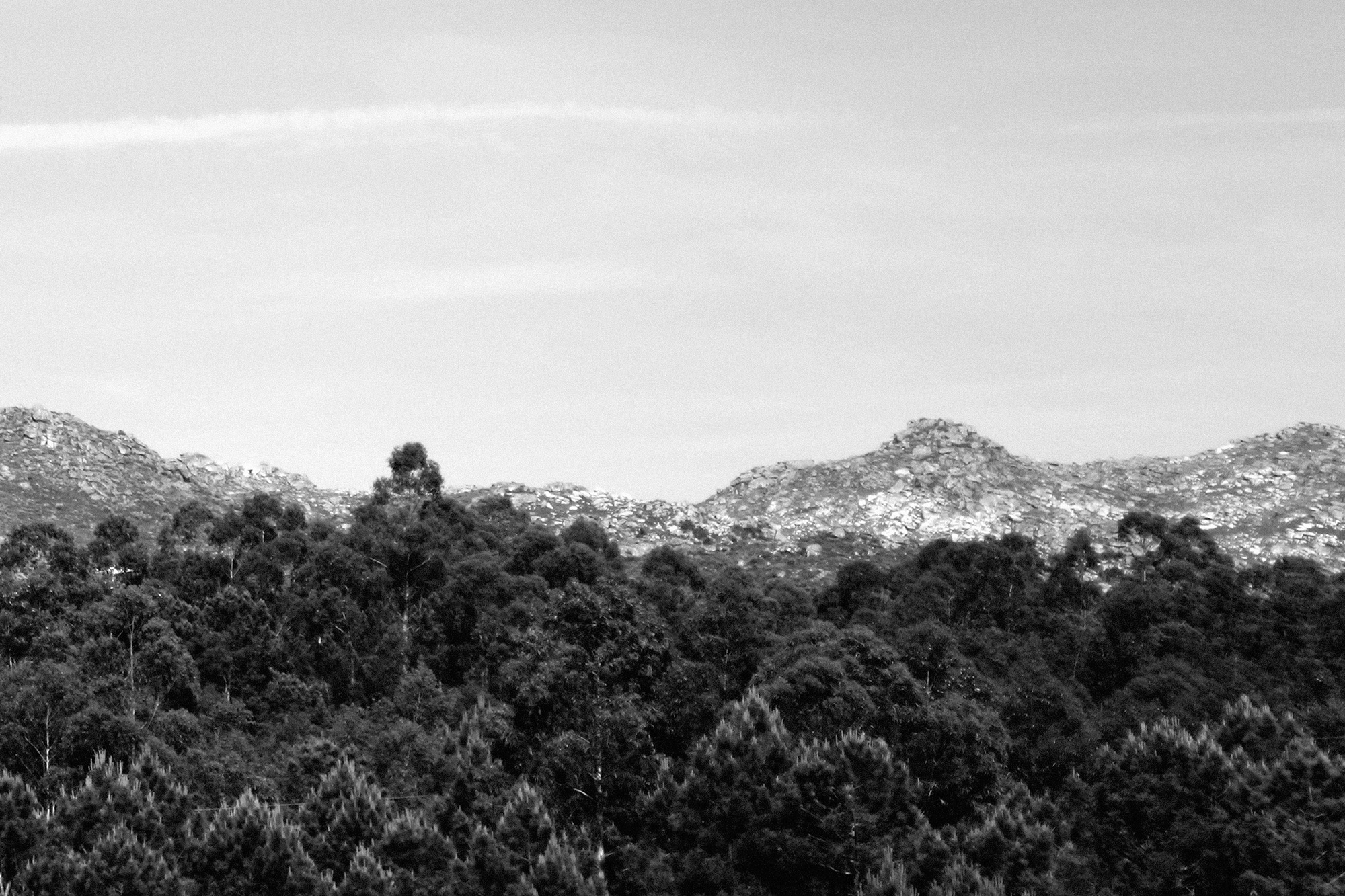 Carina Martins - Anima Lusitani - montanha - campia