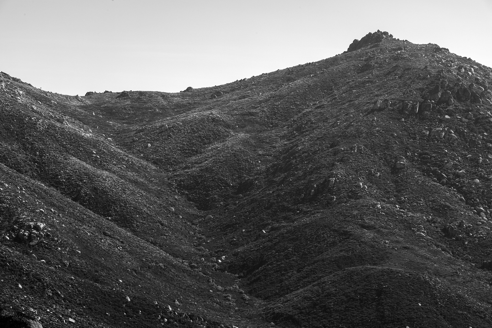 Carina Martins - Walden - Serra da Estrela