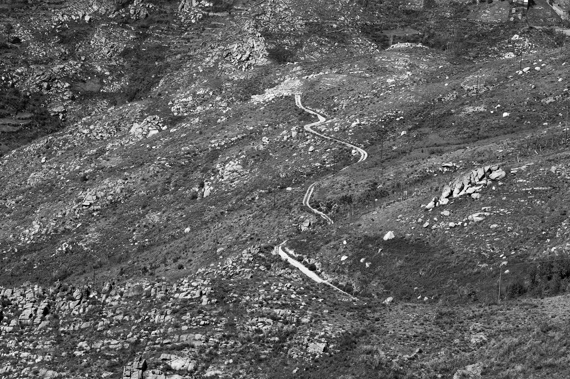 Carina Martins - Walden - Serra da Estrela mountain