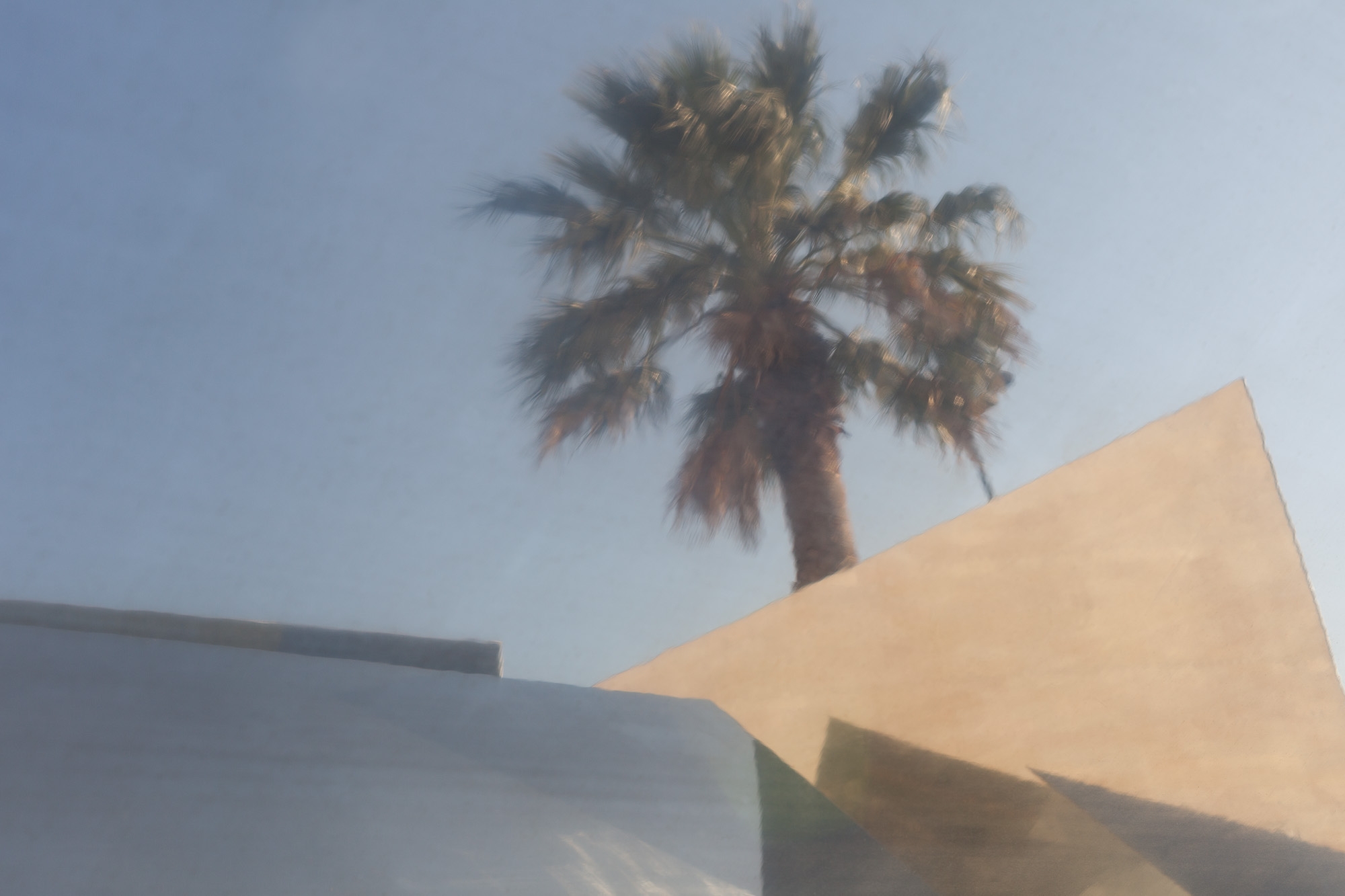 Carina Martins - Eikasia - palm tree geometric image