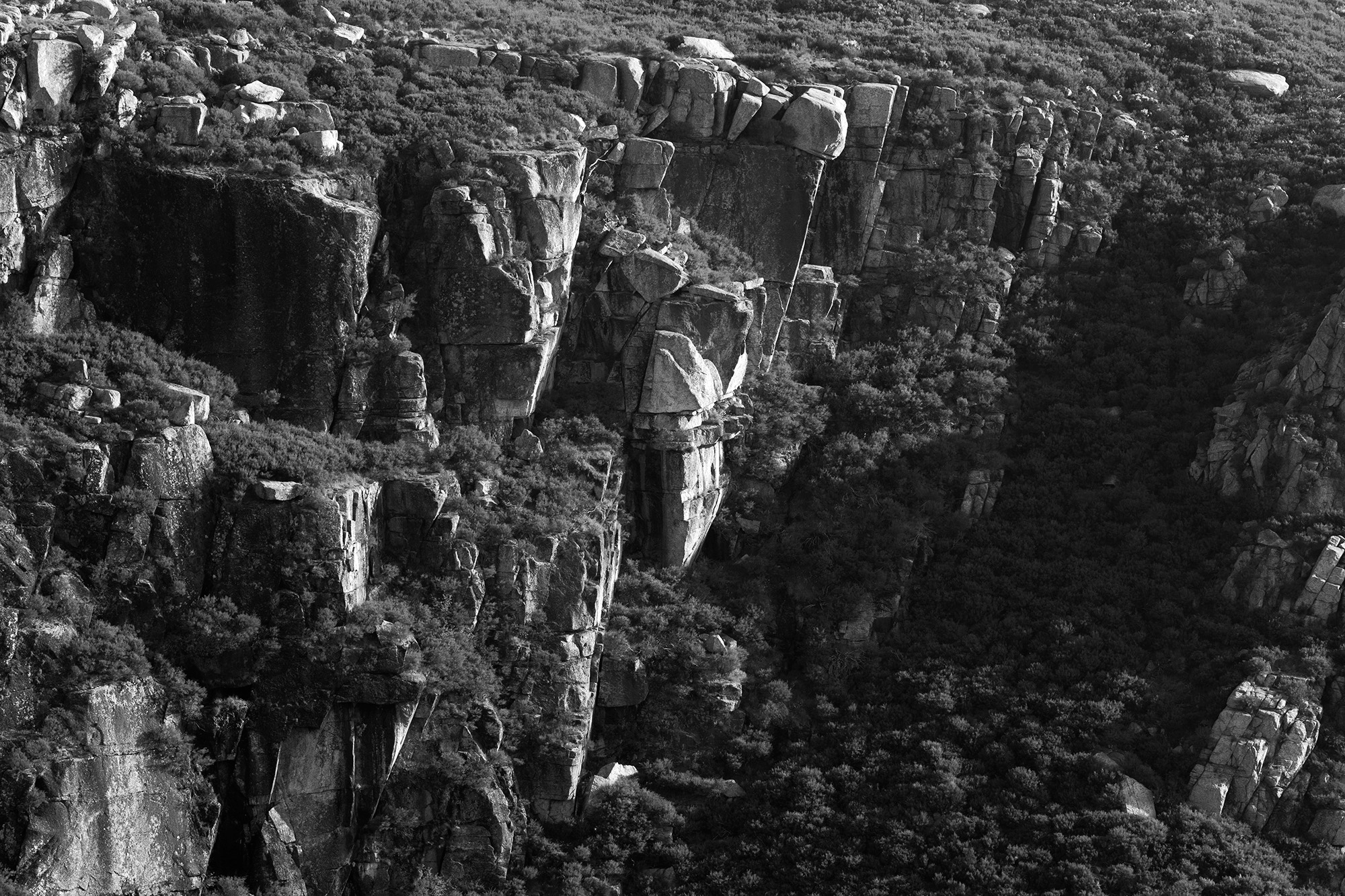 Carina Martins - Walden - Serra da Estrela