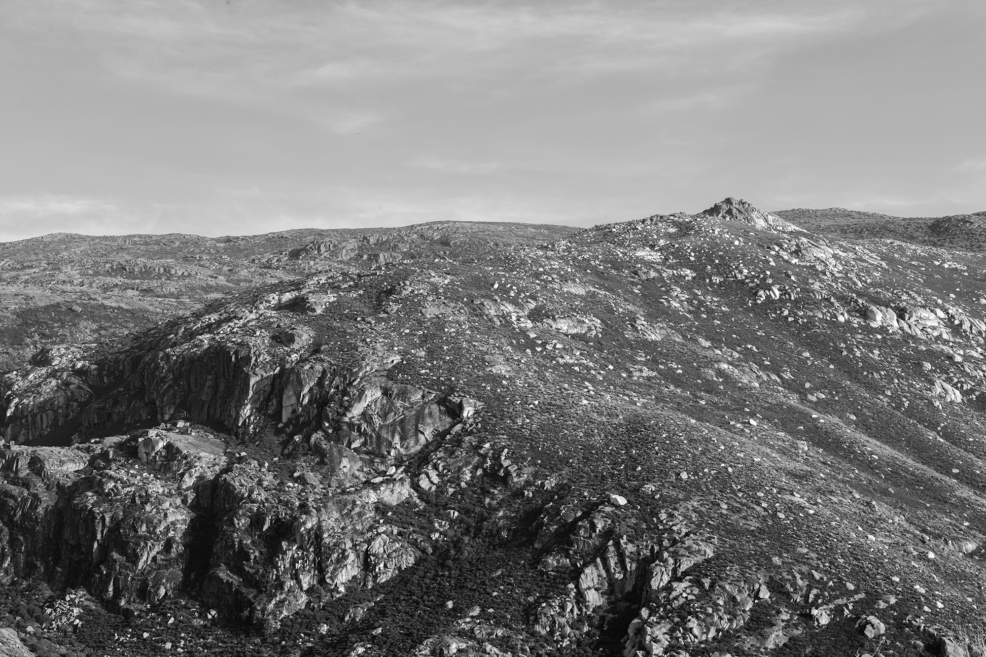 Carina Martins - Walden - Serra da Estrela mountain