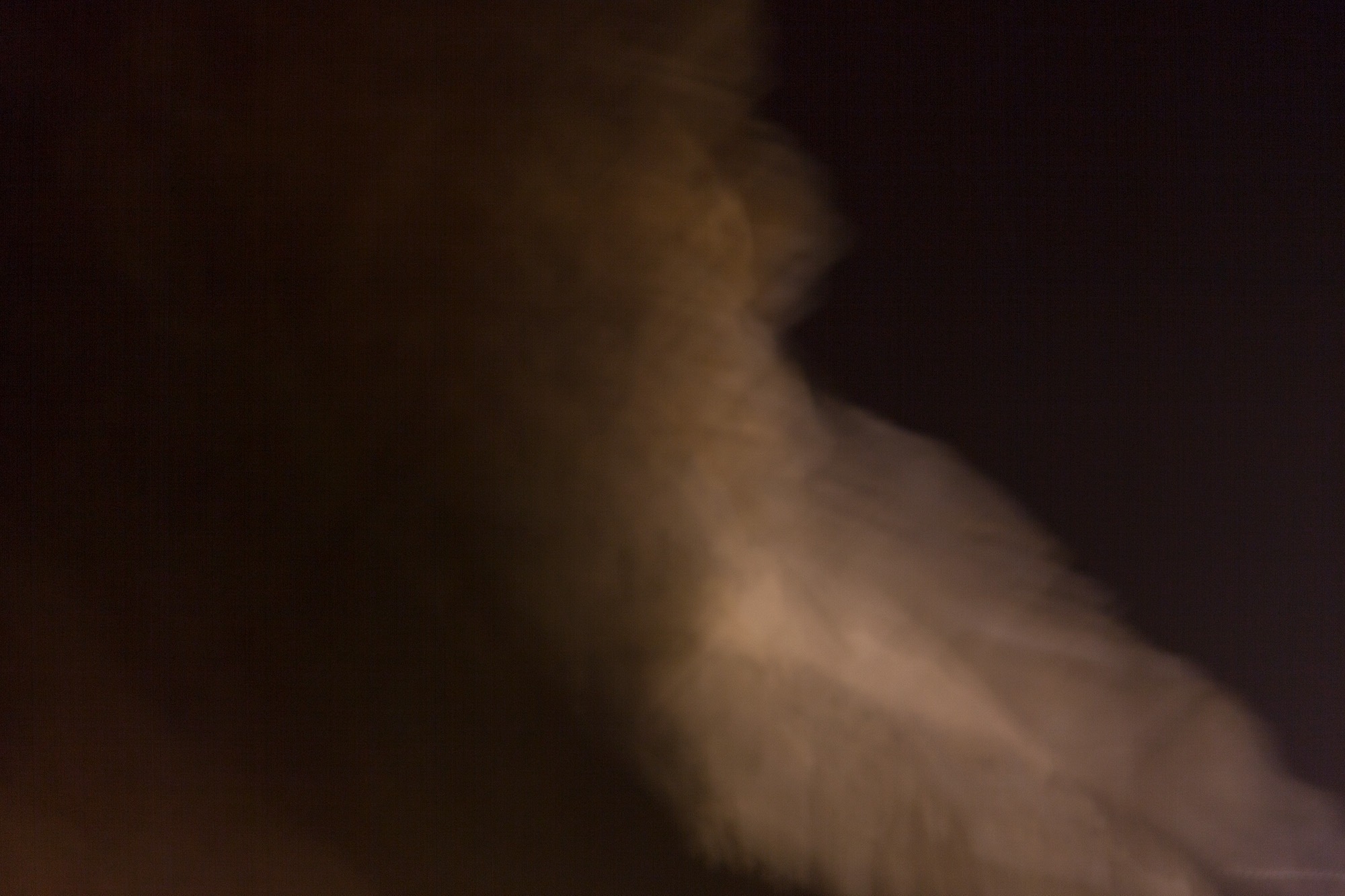 Carina Martins - We wander in circles through the night and are consumed by fire - abstract odalisque