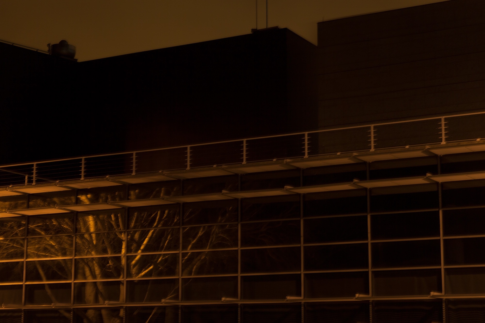 Carina Martins - We wander in circles through the night and are consumed by fire - building and tree at Parque das Nações